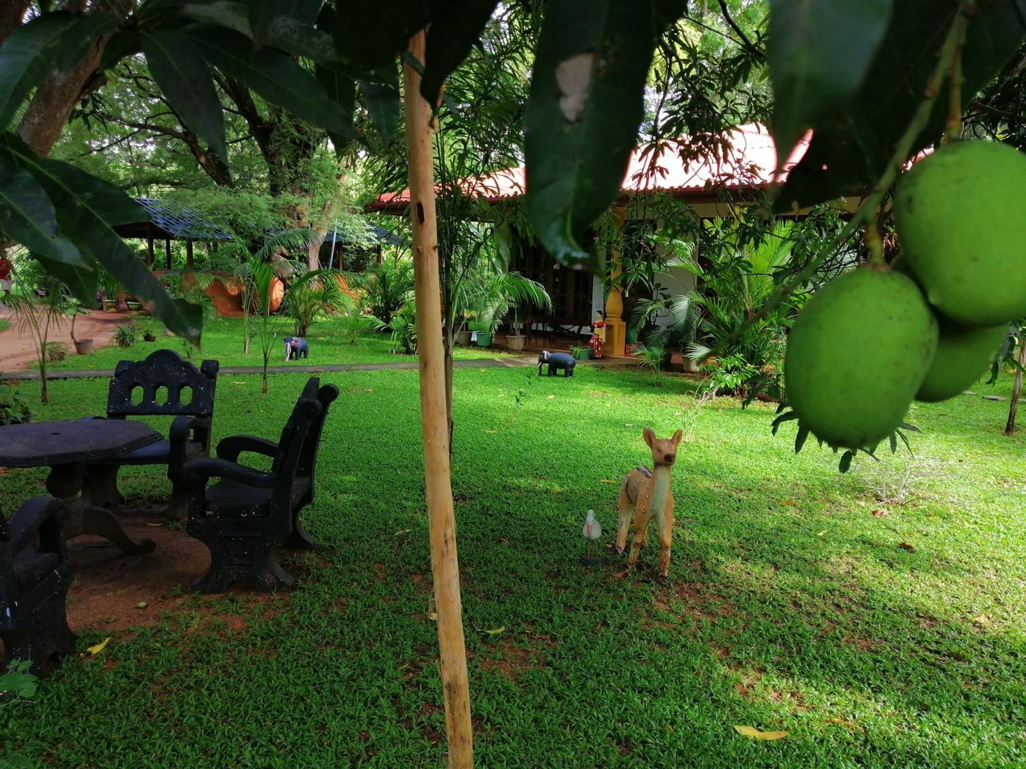 Sigiriya Ranasinghe Nature Villa Εξωτερικό φωτογραφία