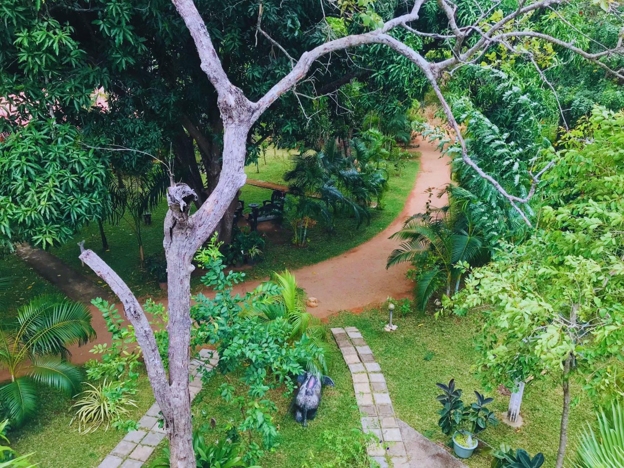 Sigiriya Ranasinghe Nature Villa Εξωτερικό φωτογραφία