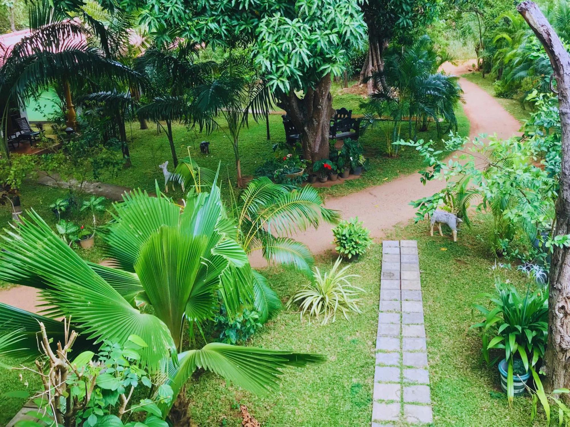 Sigiriya Ranasinghe Nature Villa Εξωτερικό φωτογραφία