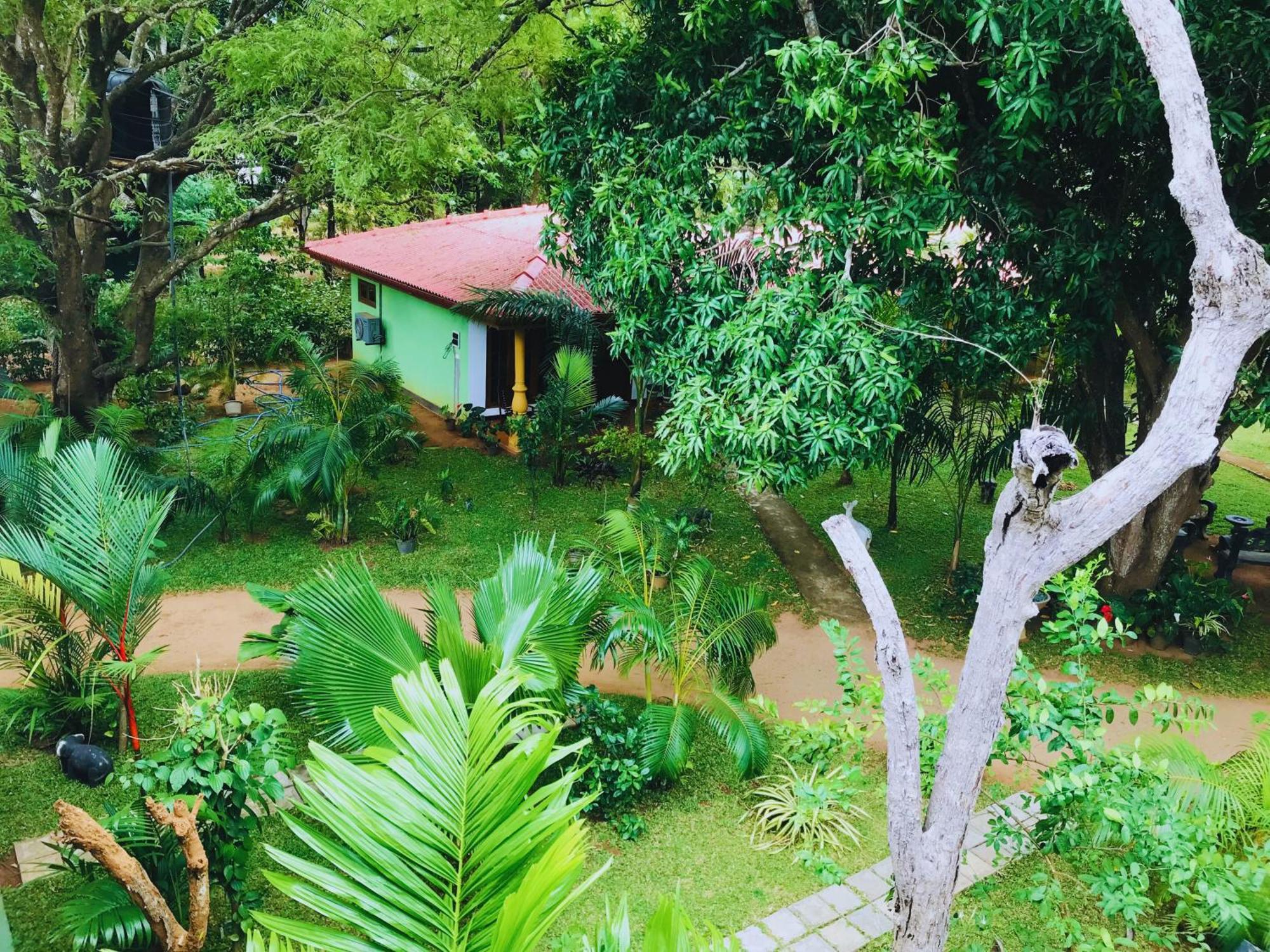 Sigiriya Ranasinghe Nature Villa Εξωτερικό φωτογραφία